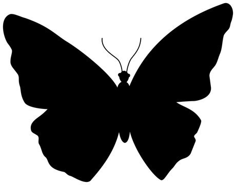 Butterfly silhouette icon.