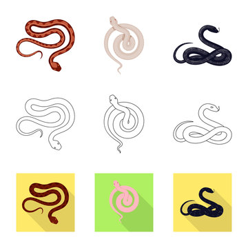 Vector illustration of mammal and danger sign. Collection of mammal and medicine vector icon for stock.