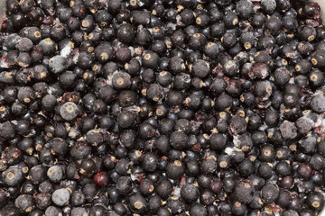  Background from large blackcurrant.