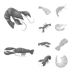 Vector design of crab and appetizer logo. Collection of crab and sea stock symbol for web.