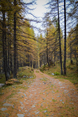 Obraz premium Chemin Vallée des Merveilles - Mercantour