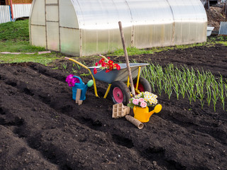 Trolley with flowers and a shovel in the garden vegetable garden. Gardening