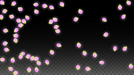 Vector Realistic Pink Petals Falling on Transparent Background.  Spring Romantic Flowers Illustration. Flying Petals. Sakura Spa Design. Blossom Confetti.