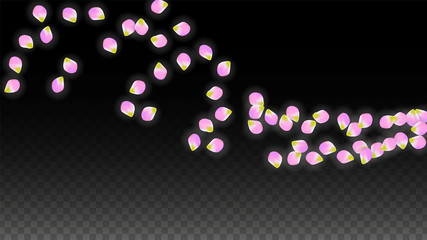 Vector Realistic Pink Petals Falling on Transparent Background.  Spring Romantic Flowers Illustration. Flying Petals. Sakura Spa Design. Blossom Confetti.