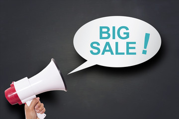 Hand Holding Megaphone with Big Sale Special Offer