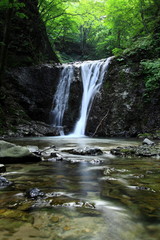 夏の滝