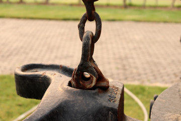 Rusty Bolt Type Anchor Shackles , hook on chain ,climbing carabiner  on green garden