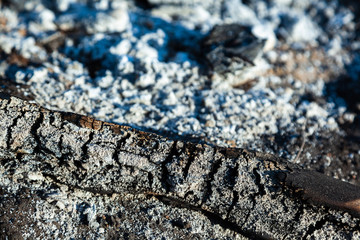 Background of coals and ash.
