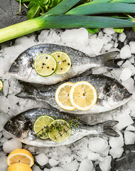 fresh raw dorado fish on ice
