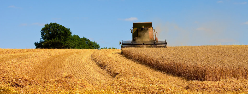 Agriculture en France