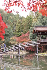 秋の日本