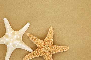 Starfish seashells on beach sand forming a background with copy space.