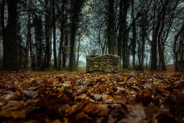 Geheimnisvoller Brunnen