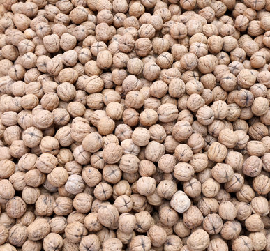 background of many nuts grown with organic techniques without ch