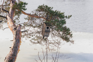 Spring landscape of Kymijoki river waters in ice and nesting box on a tree, Finland, Kymenlaakso, Kouvola