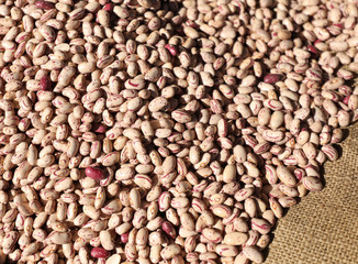 background of hundreds beans on the jute fabric