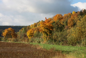 herbst