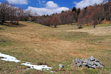 Bergwiese im Naturreservat Bijele und Samarske Stijene (Velika Kapela), Kroatien