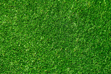 Natural grass ,golf field
