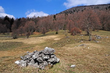 Bergwiese im Naturreservat Bijele und Samarske Stijene (Velika Kapela), Kroatien
