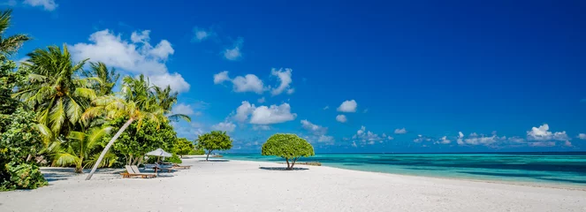Photo sur Plexiglas Bora Bora, Polynésie française Belle plage avec palmiers et ciel maussade. Concept de fond de vacances de voyage de vacances d& 39 été. Plage paradisiaque des Maldives. Concept de bannière de fond de vacances d& 39 été de voyage de luxe