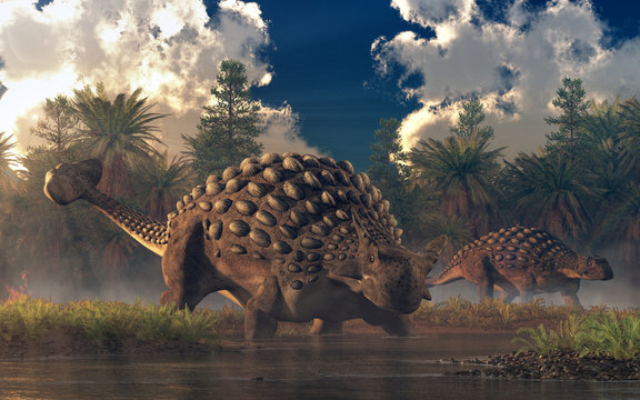 Fototapeta A pair of ankylosaurs graze in a watery lowland.  One of the two faces the viewer.  These cretaceous era armored dinosaurs are one of the best known of the prehistoric reptiles. 3D Rendering