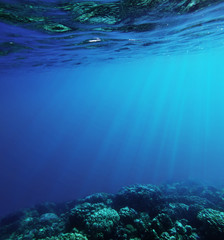 underwater deep blue sea
