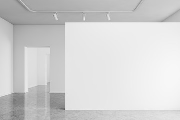 Empty gallery with white mock up wall