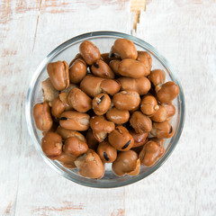 fava beans isolated close up