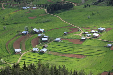 Obraz premium colorful flower landscape photo.artvin/TURKEY