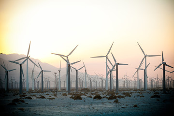 wind turbines at sunset
