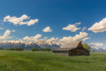 Historic  T.A. Moulton barn located on Mormon Row in the Grand Teton National Park
