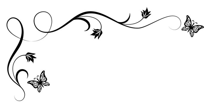pic Floral Butterfly Border Design Black And White https stock adobe com fi images vintage corner floral ornament with flying butterfly for greeting card 256888571 start checkout 1 content id 256888571