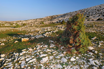 Karstlandschaft des Obzova, Insel Krk, Kroatien