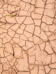 Dry floor in the desert of Atacama