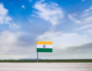 Flag of India with vast meadow and blue sky behind it.