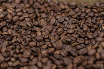 Café e Queijos