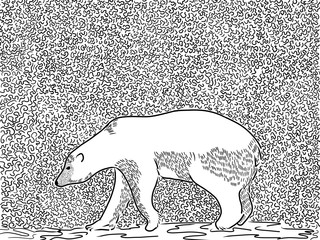raster illustration black and white graphics bear