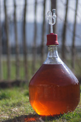 glass container filled with cider