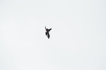 Delta wing fighter aircraft
