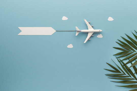airplane on blue sky background paln leaf  top view with copy space for your text. flat lay. 
