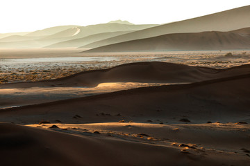 Fototapeta na wymiar Sand dunes of Sossusvlei, Namibia.
