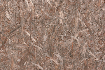 texture of wood panel