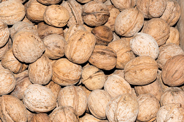 Walnut on the counter of the eastern market