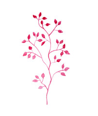 Pink branch plant with leaves, floral watercolor painting isolated on white background