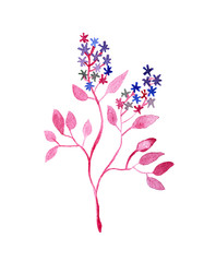 Pink branch plant with flowers and leaves, blossom watercolor painting isolated on white background
