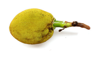 jack fruit with leaf isolated on white background