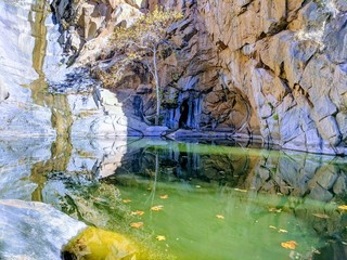 Reflection. Cleveland National Forest