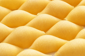 Fototapeta premium Large shells of Italian pasta