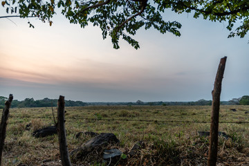 Guatemalan farm land at sunset